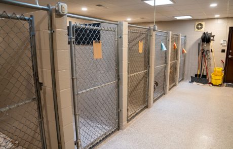 large-kennels