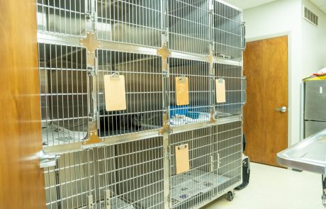 pet-kennels