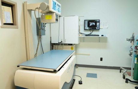 radiology