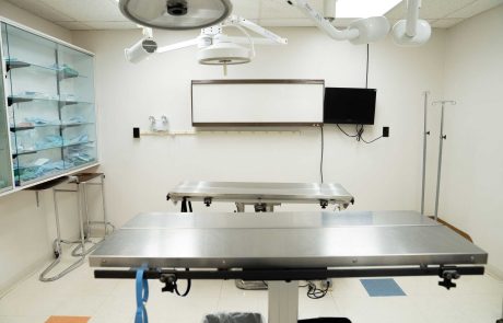 soft-tissue-surgery
